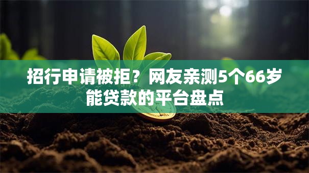 招行申请被拒?网友亲测5个66岁能贷款的平台盘点 招行申请被拒?网友亲测5个66岁能贷款的平台盘点