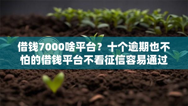 借钱7000啥平台?十个逾期也不怕的借钱平台不看征信容易通过的 借钱7000啥平台?十个逾期也不怕的借钱平台不看征信容易通过的