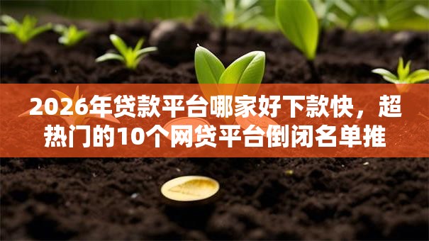 2026年贷款平台哪家好下款快,超热门的10个网贷平台倒闭名单推荐 2026年贷款平台哪家好下款快,超热门的10个网贷平台倒闭名单推荐