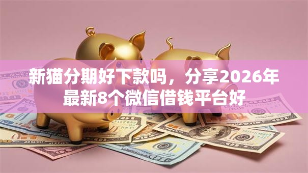 新猫分期好下款吗，分享2026年最新8个微信借钱平台好