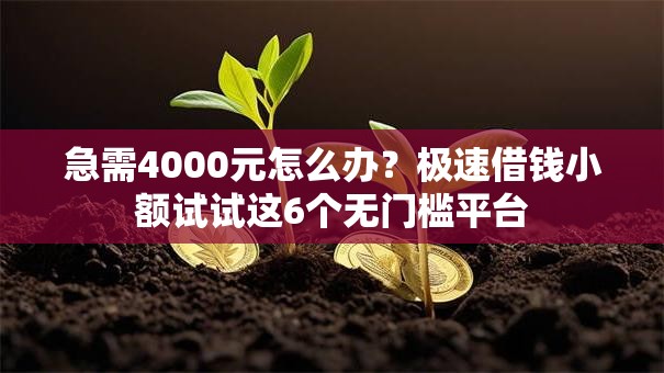 急需4000元怎么办?极速借钱小额试试这6个无门槛平台 急需4000元怎么办?极速借钱小额试试这6个无门槛平台