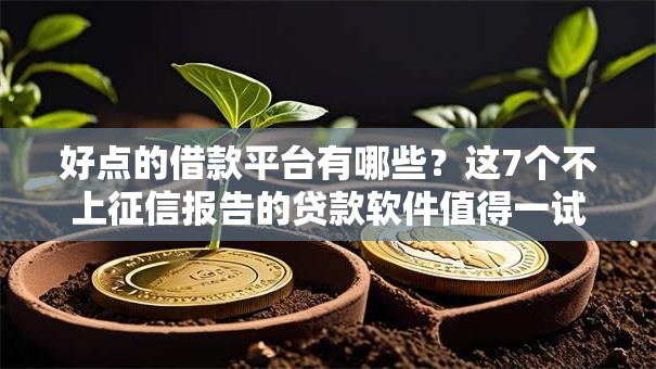 好点的借款平台有哪些?这7个不上征信报告的贷款软件值得一试 好点的借款平台有哪些?这7个不上征信报告的贷款软件值得一试