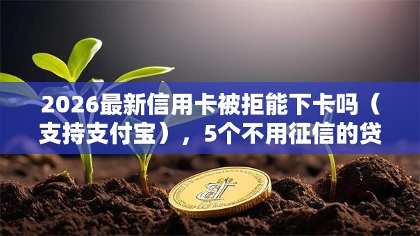 2026最新信用卡被拒能下卡吗（支持支付宝），5个不用征信的贷款平台无私分享