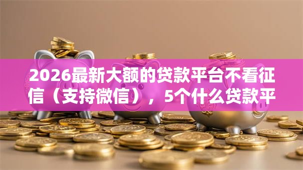 2026最新大额的贷款平台不看征信（支持微信），5个什么贷款平台靠谱无私分享