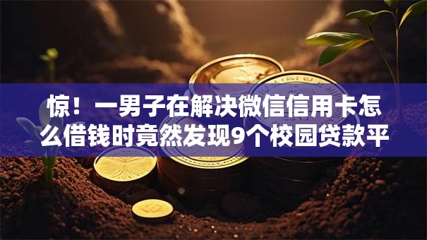 惊!一男子在解决微信信用卡怎么借钱时竟然发现9个校园贷款平台,事后分享了出来 惊!一男子在解决微信信用卡怎么借钱时竟然发现9个校园贷款平台,事后分享了出来