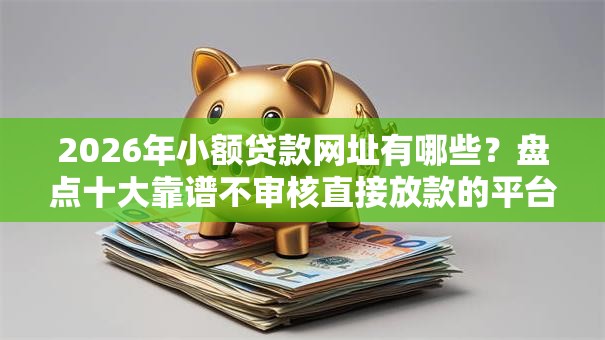 2026年小额贷款网址有哪些？盘点十大靠谱不审核直接放款的平台