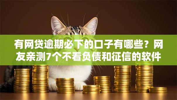 有网贷逾期必下的口子有哪些?网友亲测7个不看负债和征信的软件盘点 有网贷逾期必下的口子有哪些?网友亲测7个不看负债和征信的软件盘点