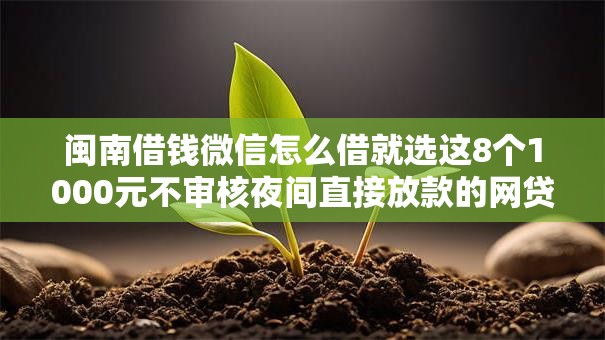 闽南借钱微信怎么借就选这8个1000元不审核夜间直接放款的网贷软件 闽南借钱微信怎么借就选这8个1000元不审核夜间直接放款的网贷软件