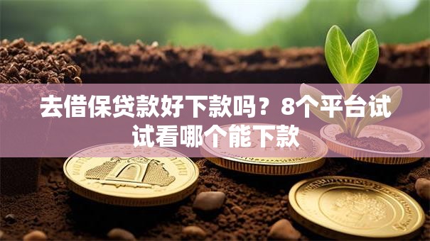 去借保贷款好下款吗?8个平台试试看哪个能下款 去借保贷款好下款吗?8个平台试试看哪个能下款