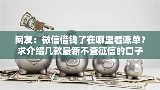 网友:微信借钱了在哪里看账单?求介绍几款最新不查征信的口子 网友:微信借钱了在哪里看账单?求介绍几款最新不查征信的口子