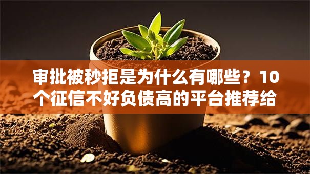 审批被秒拒是为什么有哪些?10个征信不好负债高的平台推荐给你 审批被秒拒是为什么有哪些?10个征信不好负债高的平台推荐给你