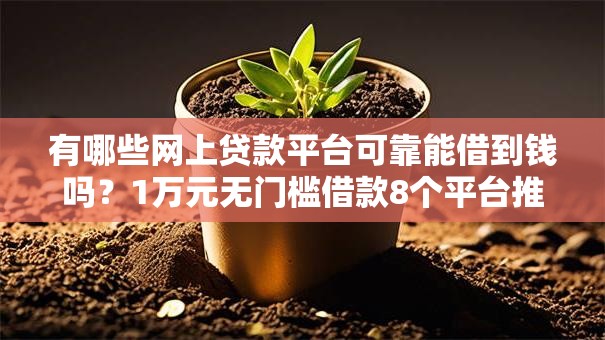 有哪些网上贷款平台可靠能借到钱吗？1万元无门槛借款8个平台推荐