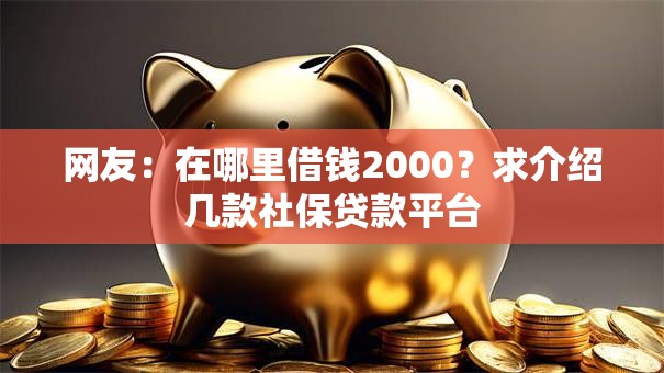 网友:在哪里借钱2000?求介绍几款社保贷款平台 网友:在哪里借钱2000?求介绍几款社保贷款平台