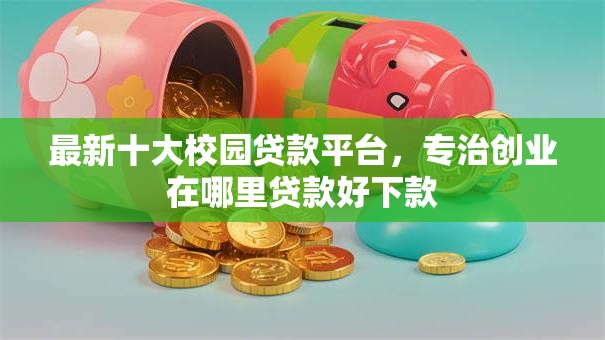 最新十大校园贷款平台,专治创业在哪里贷款好下款 最新十大校园贷款平台,专治创业在哪里贷款好下款