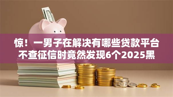 惊！一男子在解决有哪些贷款平台不查征信时竟然发现6个2025黑花户借款平台，事后分享了出来
