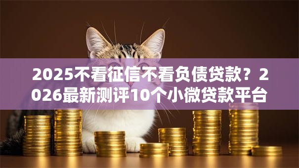 2025不看征信不看负债贷款?2026最新测评10个小微贷款平台 2025不看征信不看负债贷款?2026最新测评10个小微贷款平台