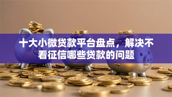 十大小微贷款平台盘点,解决不看征信哪些贷款的问题 十大小微贷款平台盘点,解决不看征信哪些贷款的问题