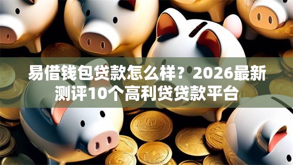 易借钱包贷款怎么样?2026最新测评10个高利贷贷款平台 易借钱包贷款怎么样?2026最新测评10个高利贷贷款平台