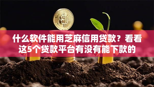 什么软件能用芝麻信用贷款?看看这5个贷款平台有没有能下款的 什么软件能用芝麻信用贷款?看看这5个贷款平台有没有能下款的