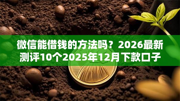 微信能借钱的方法吗?2026最新测评10个2025年12月下款口子 微信能借钱的方法吗?2026最新测评10个2025年12月下款口子