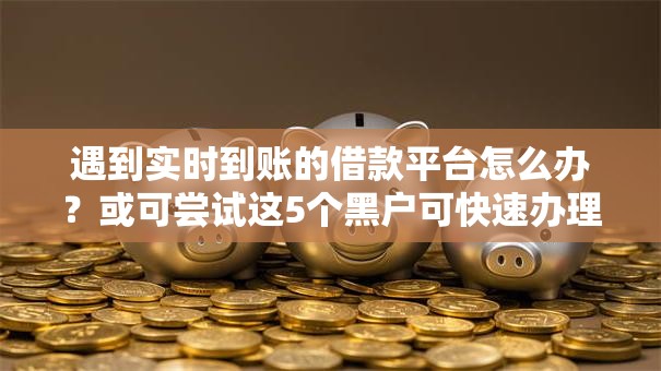 遇到实时到账的借款平台怎么办?或可尝试这5个黑户可快速办理小额贷款业务的软件 遇到实时到账的借款平台怎么办?或可尝试这5个黑户可快速办理小额贷款业务的软件