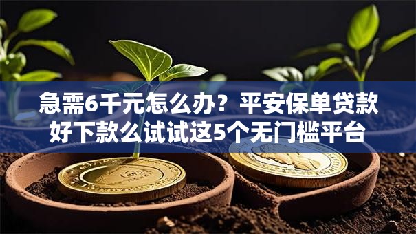 急需6千元怎么办?平安保单贷款好下款么试试这5个无门槛平台 急需6千元怎么办?平安保单贷款好下款么试试这5个无门槛平台