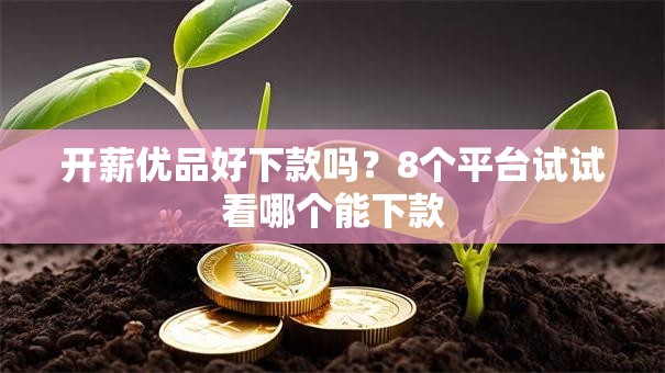 开薪优品好下款吗?8个平台试试看哪个能下款 开薪优品好下款吗?8个平台试试看哪个能下款