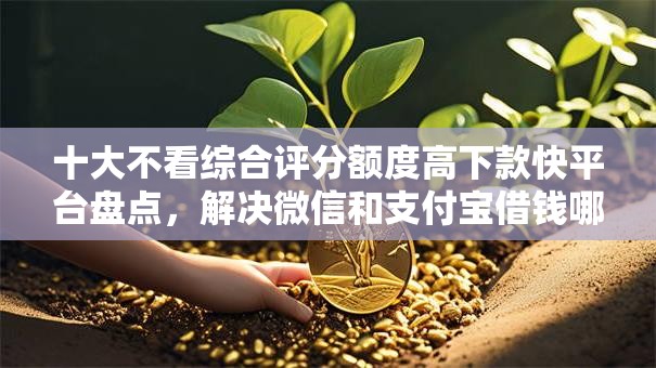 十大不看综合评分额度高下款快平台盘点，解决微信和支付宝借钱哪个的问题