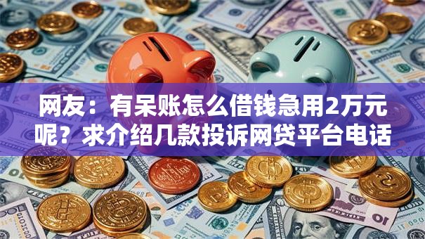 网友：有呆账怎么借钱急用2万元呢？求介绍几款投诉网贷平台电话