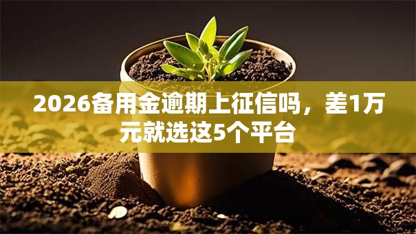 2026备用金逾期上征信吗,差1万元就选这5个平台 2026备用金逾期上征信吗,差1万元就选这5个平台