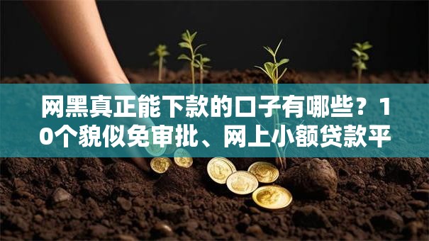 网黑真正能下款的口子有哪些?10个貌似免审批、网上小额贷款平台好合集 网黑真正能下款的口子有哪些?10个貌似免审批、网上小额贷款平台好合集