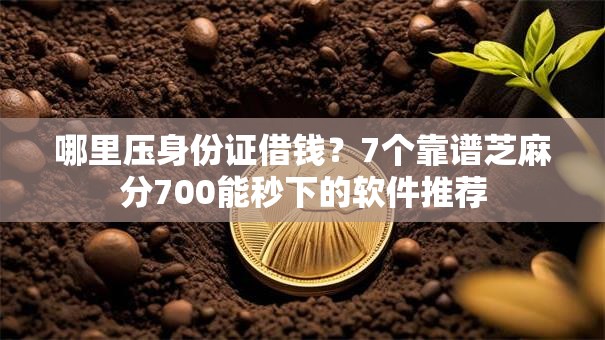 哪里压身份证借钱？7个靠谱芝麻分700能秒下的软件推荐