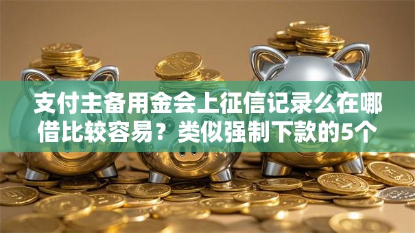 支付主备用金会上征信记录么在哪借比较容易?类似强制下款的5个口子参考 支付主备用金会上征信记录么在哪借比较容易?类似强制下款的5个口子参考