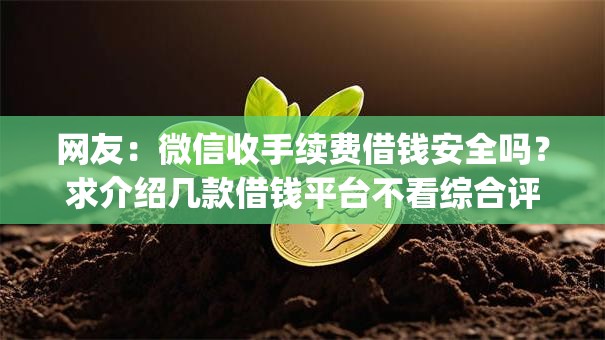 网友:微信收手续费借钱安全吗?求介绍几款借钱平台不看综合评估的app 网友:微信收手续费借钱安全吗?求介绍几款借钱平台不看综合评估的app