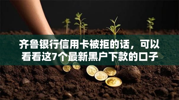 齐鲁银行信用卡被拒的话,可以看看这7个最新黑户下款的口子 齐鲁银行信用卡被拒的话,可以看看这7个最新黑户下款的口子