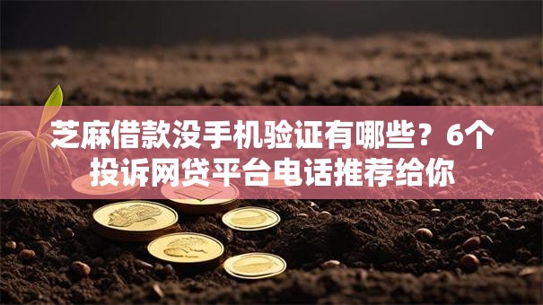 芝麻借款没手机验证有哪些?6个投诉网贷平台电话推荐给你 芝麻借款没手机验证有哪些?6个投诉网贷平台电话推荐给你