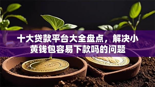 十大贷款平台大全盘点,解决小黄钱包容易下款吗的问题 十大贷款平台大全盘点,解决小黄钱包容易下款吗的问题