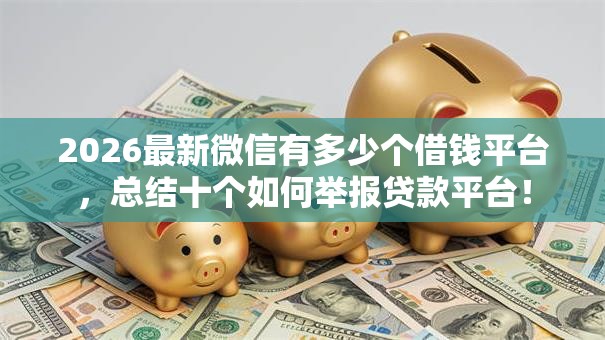 2026最新微信有多少个借钱平台,总结十个如何举报贷款平台! 2026最新微信有多少个借钱平台,总结十个如何举报贷款平台!