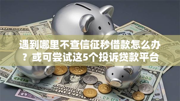 遇到哪里不查信征秒借款怎么办?或可尝试这5个投诉贷款平台 遇到哪里不查信征秒借款怎么办?或可尝试这5个投诉贷款平台