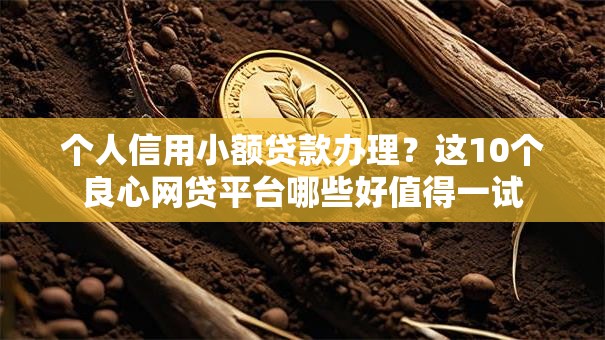 个人信用小额贷款办理?这10个良心网贷平台哪些好值得一试 个人信用小额贷款办理?这10个良心网贷平台哪些好值得一试
