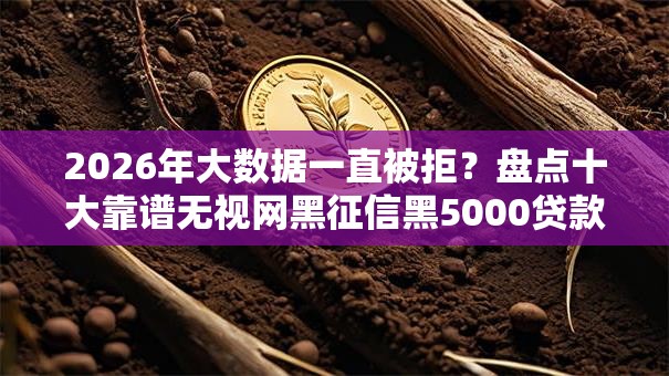 2026年大数据一直被拒?盘点十大靠谱无视网黑征信黑5000贷款口子 2026年大数据一直被拒?盘点十大靠谱无视网黑征信黑5000贷款口子
