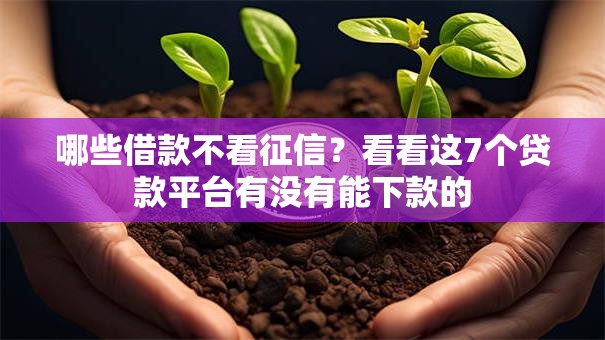 哪些借款不看征信?看看这7个贷款平台有没有能下款的 哪些借款不看征信?看看这7个贷款平台有没有能下款的