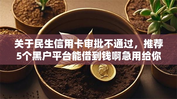 关于民生信用卡审批不通过,推荐5个黑户平台能借到钱啊急用给你 关于民生信用卡审批不通过,推荐5个黑户平台能借到钱啊急用给你