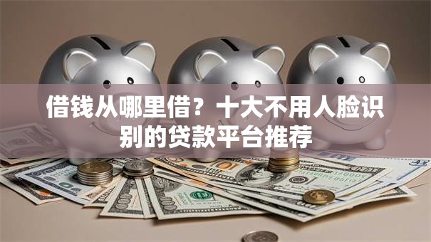 借钱从哪里借？十大不用人脸识别的贷款平台推荐