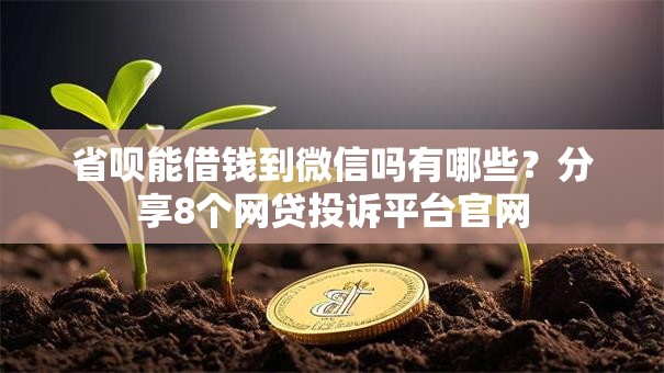 省呗能借钱到微信吗有哪些?分享8个网贷投诉平台官网 省呗能借钱到微信吗有哪些?分享8个网贷投诉平台官网