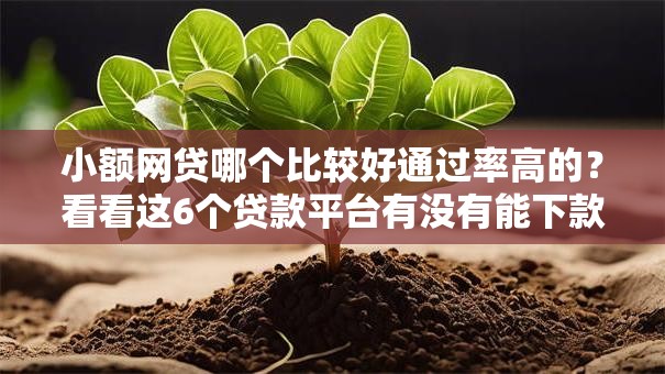 小额网贷哪个比较好通过率高的?看看这6个贷款平台有没有能下款的 小额网贷哪个比较好通过率高的?看看这6个贷款平台有没有能下款的