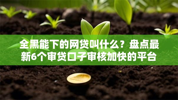 全黑能下的网贷叫什么?盘点最新6个审贷口子审核加快的平台 全黑能下的网贷叫什么?盘点最新6个审贷口子审核加快的平台
