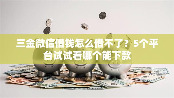 三金微信借钱怎么借不了?5个平台试试看哪个能下款 三金微信借钱怎么借不了?5个平台试试看哪个能下款