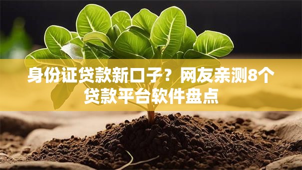 身份证贷款新口子?网友亲测8个贷款平台软件盘点 身份证贷款新口子?网友亲测8个贷款平台软件盘点