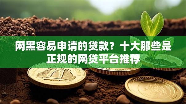网黑容易申请的贷款？十大那些是正规的网贷平台推荐